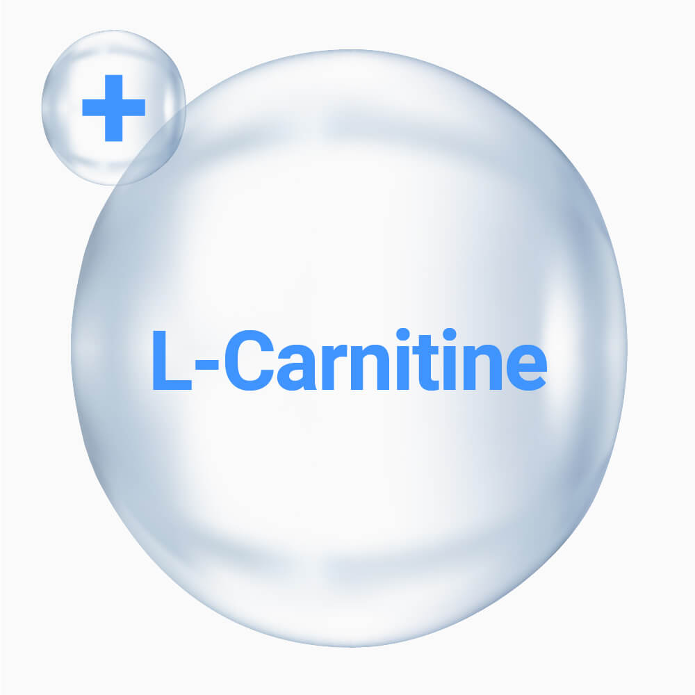 L-Carnitine (1000mg) – Dripdash L-Carnitine (1000mg) – Dripdash