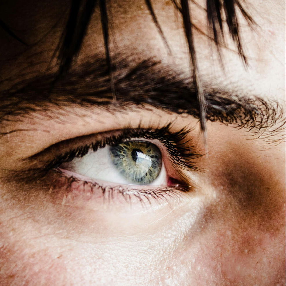 Spermadine Cellular Renewal