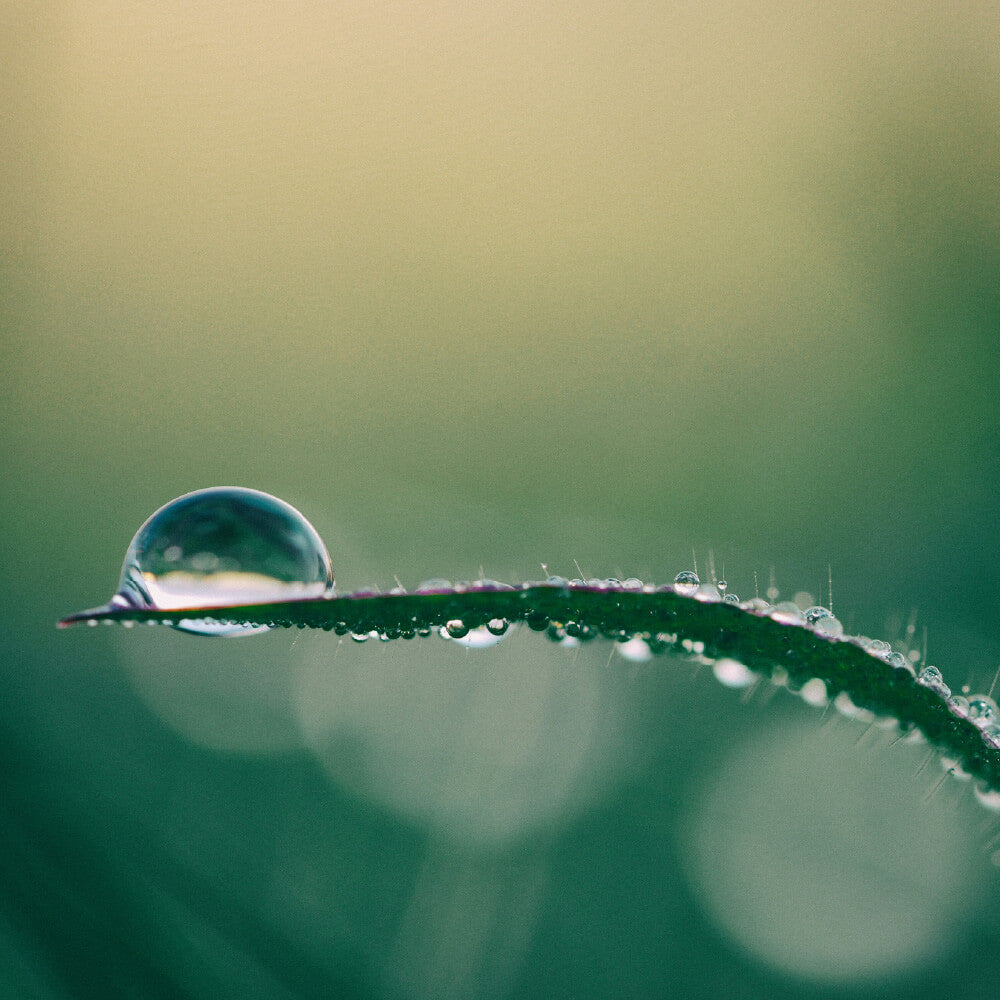 IV-drip-detox-deluxe