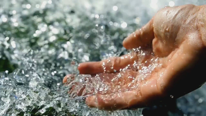 Dripdash video montage